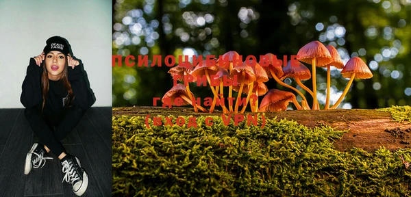PSILOCYBIN Кинешма