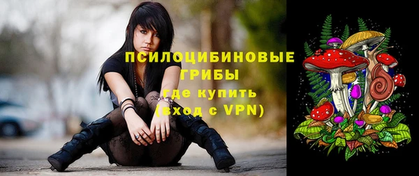 ECSTASY Киреевск